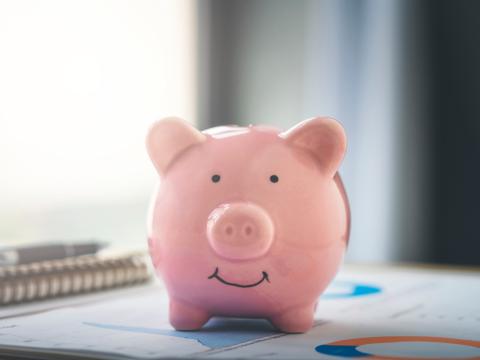 budgetpiggy_0