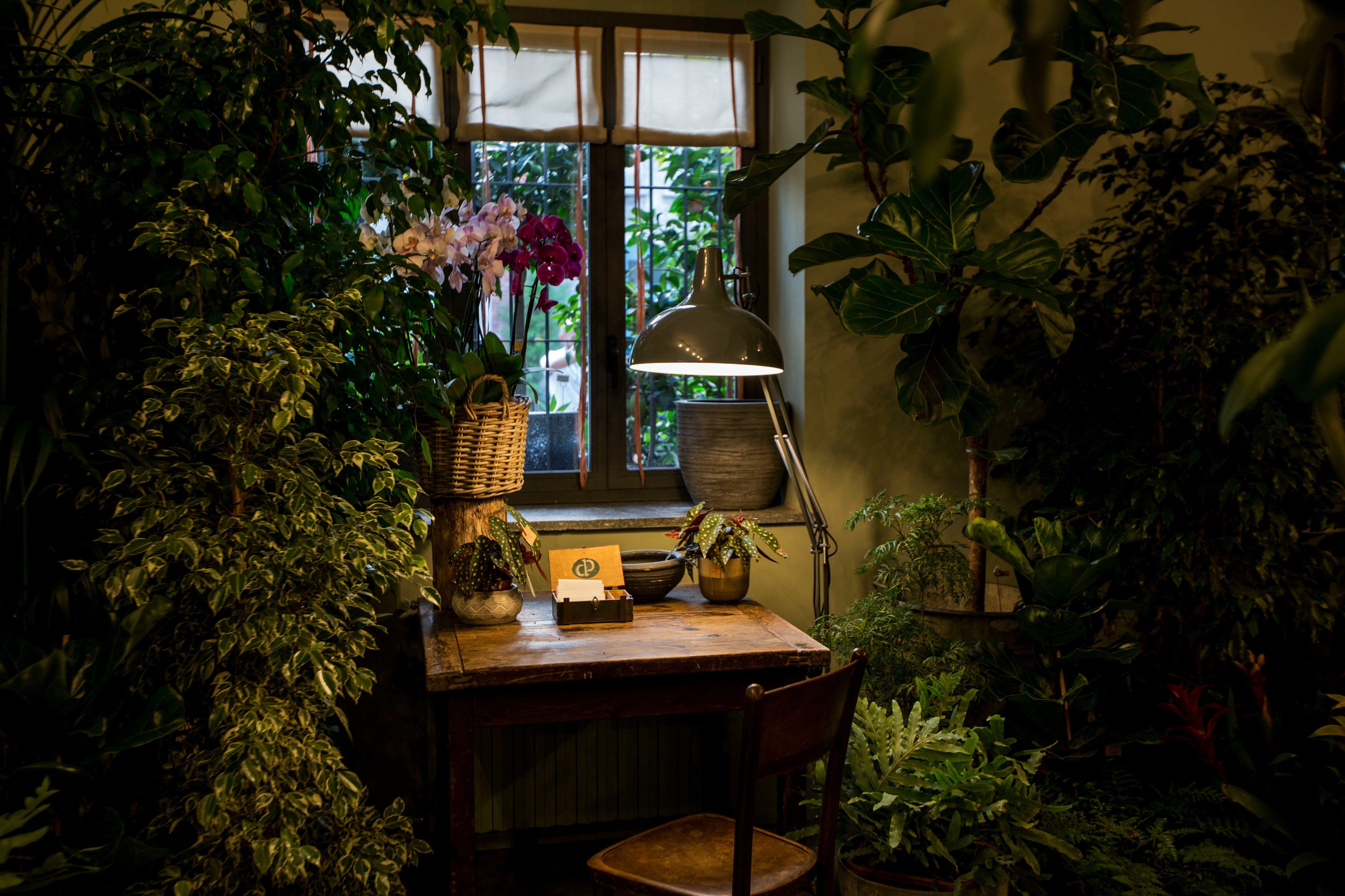 Going Electric at Home: Lawn & Garden