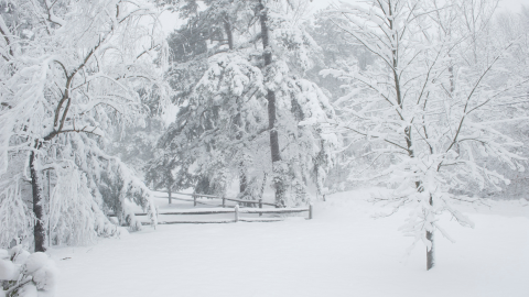 winter-storm