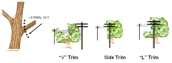 Directional Pruning