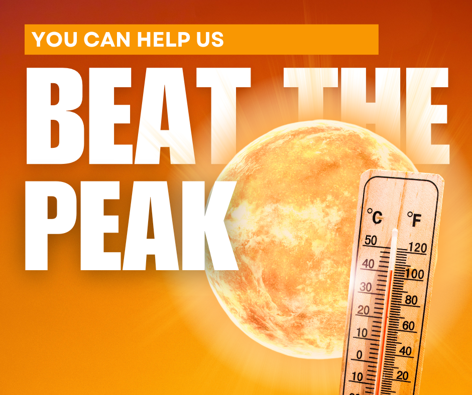 beat-the-peak-sun-25-bill-credit