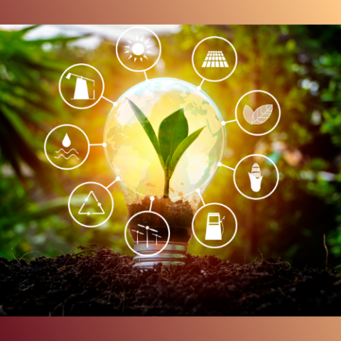 Renewable energy and energy sources of the world